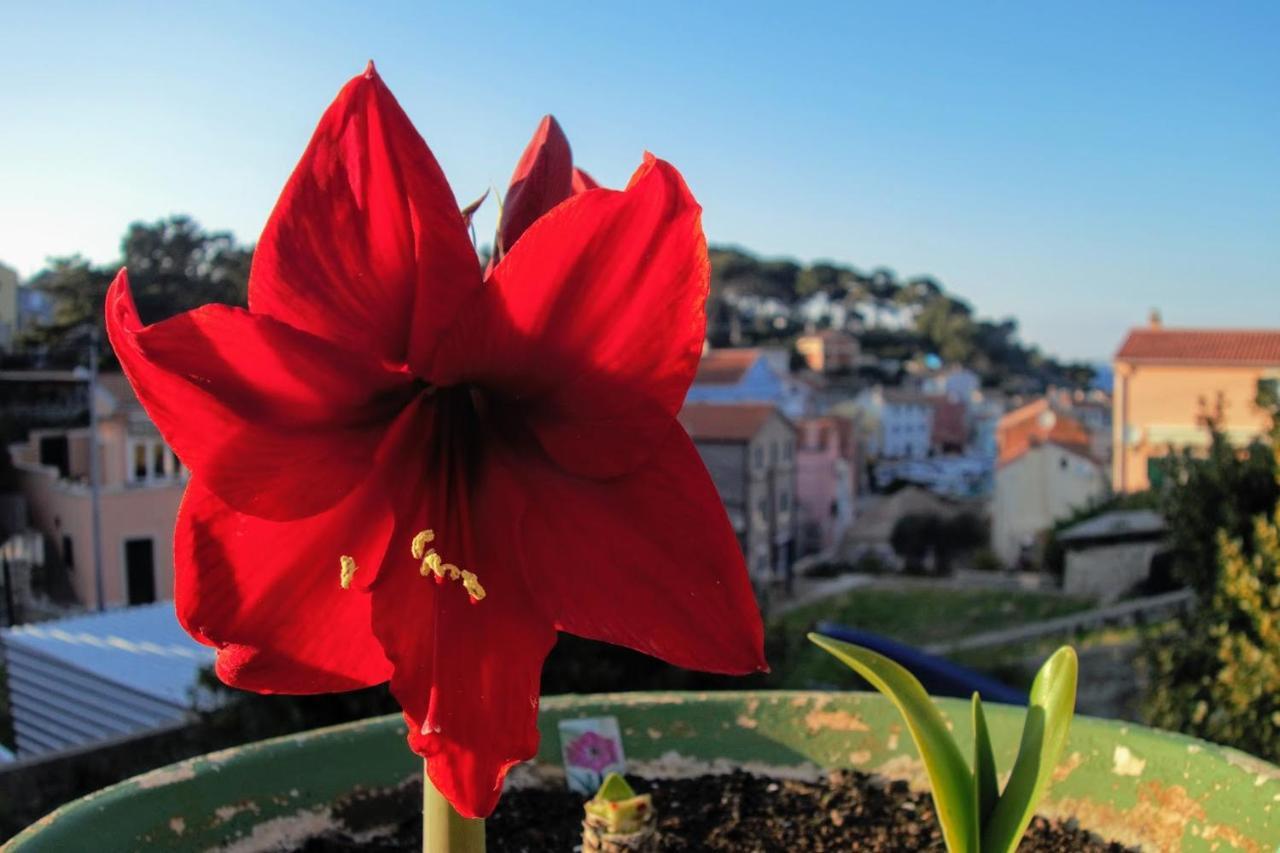 Amaryllis Residence, Apartment Diana & Deluxe Rooms With Shared Kitchen ヴェリ・ロシニュ エクステリア 写真